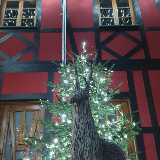 Suggestions de Noël